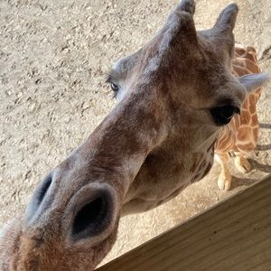 Meet your Posher, Gina